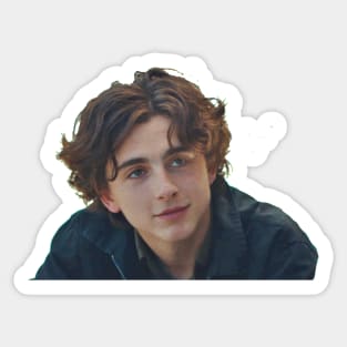 Thimotée Chalamet Sticker